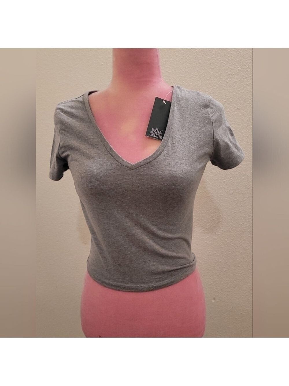 NWT Wild Fable Gray Fitted Crop Tee
